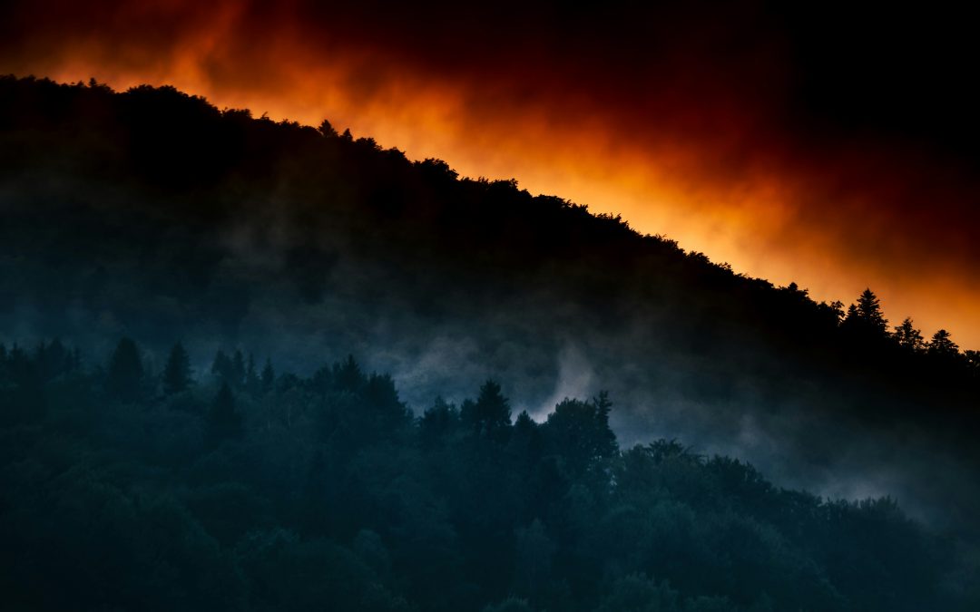 It’s wildfire season. Are you ready?